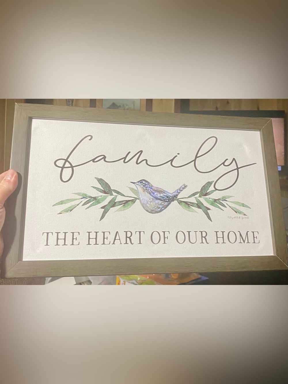Wall Decor “The Heart of Our Home” Framed Canvas By Sagebrush Wildlife Birds
